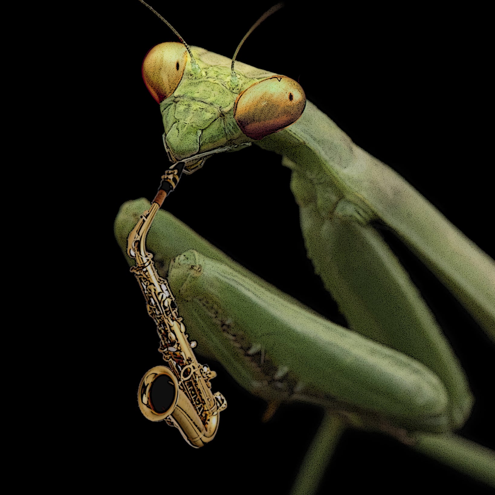 jazzmantis