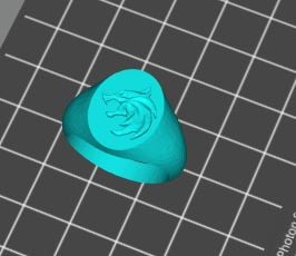 Witcher Signet Ring