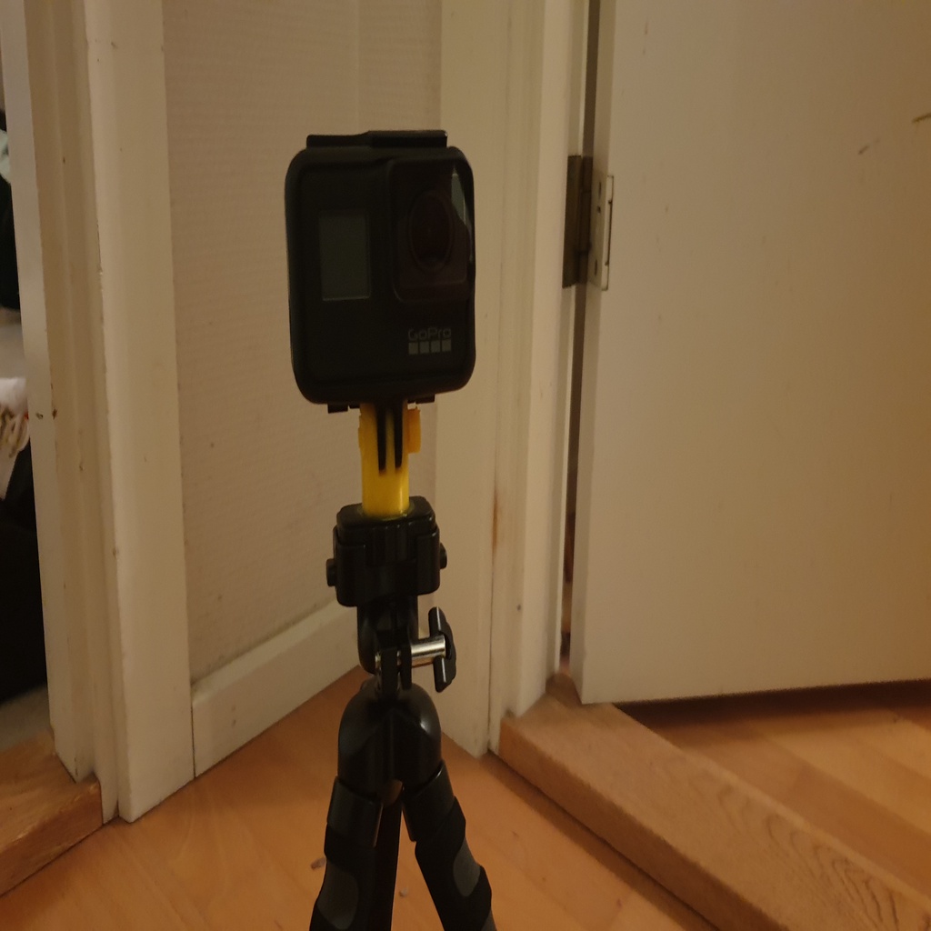 Mount for gopro to standard camera mount