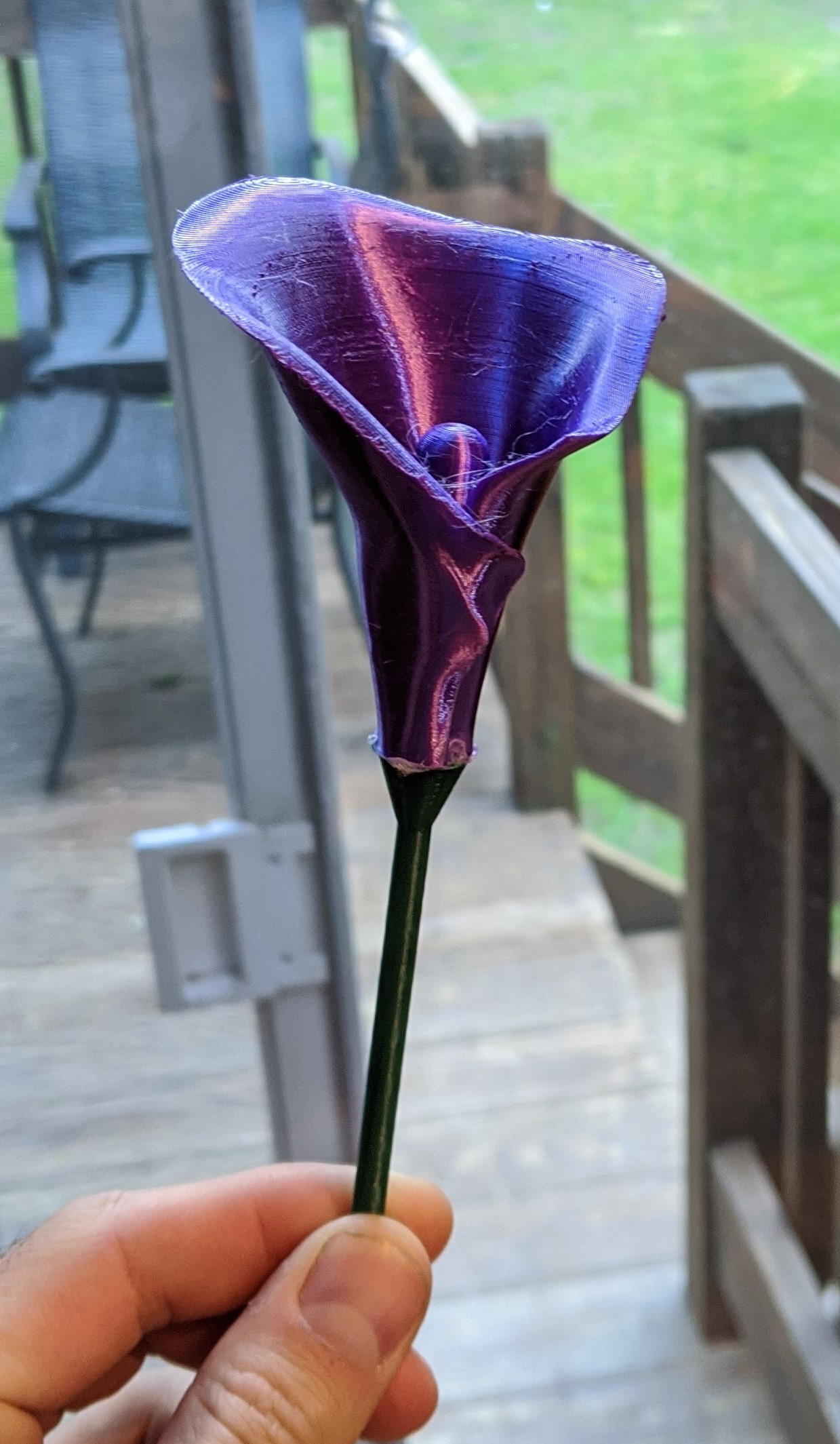 Calla Lilly Flower