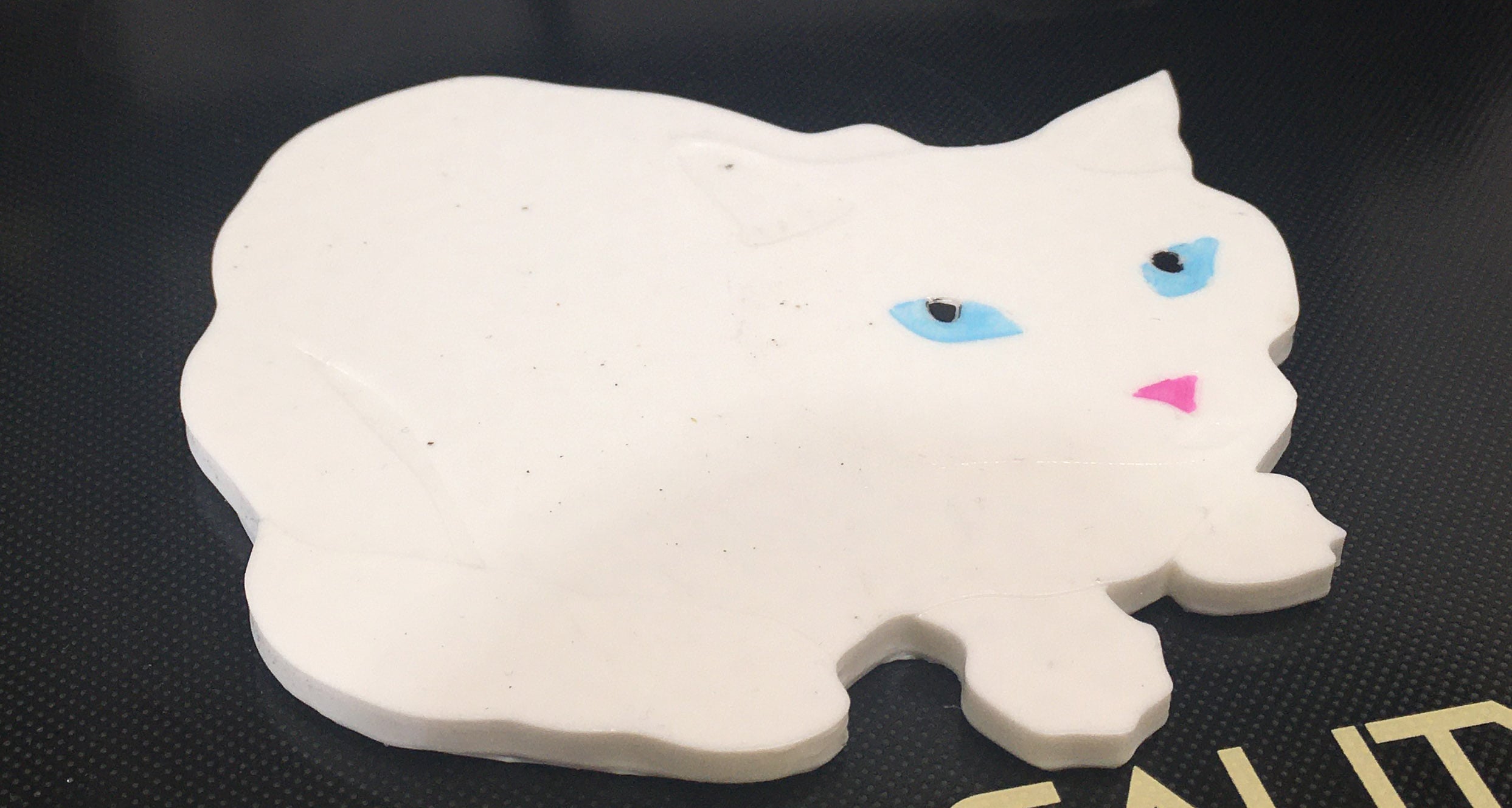 Cat Shaped Coaster