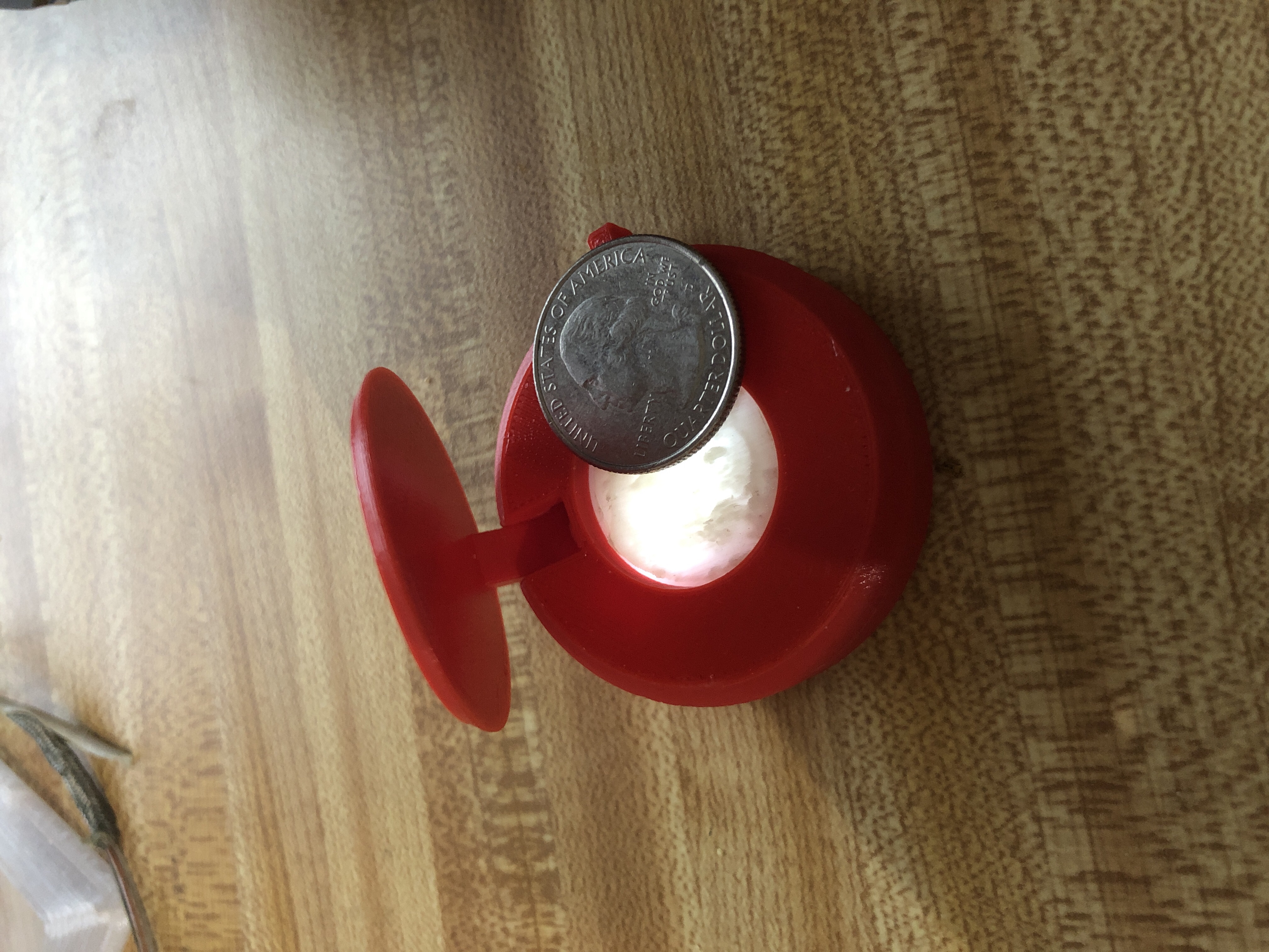 Basic Lithocoin Enclosure with door