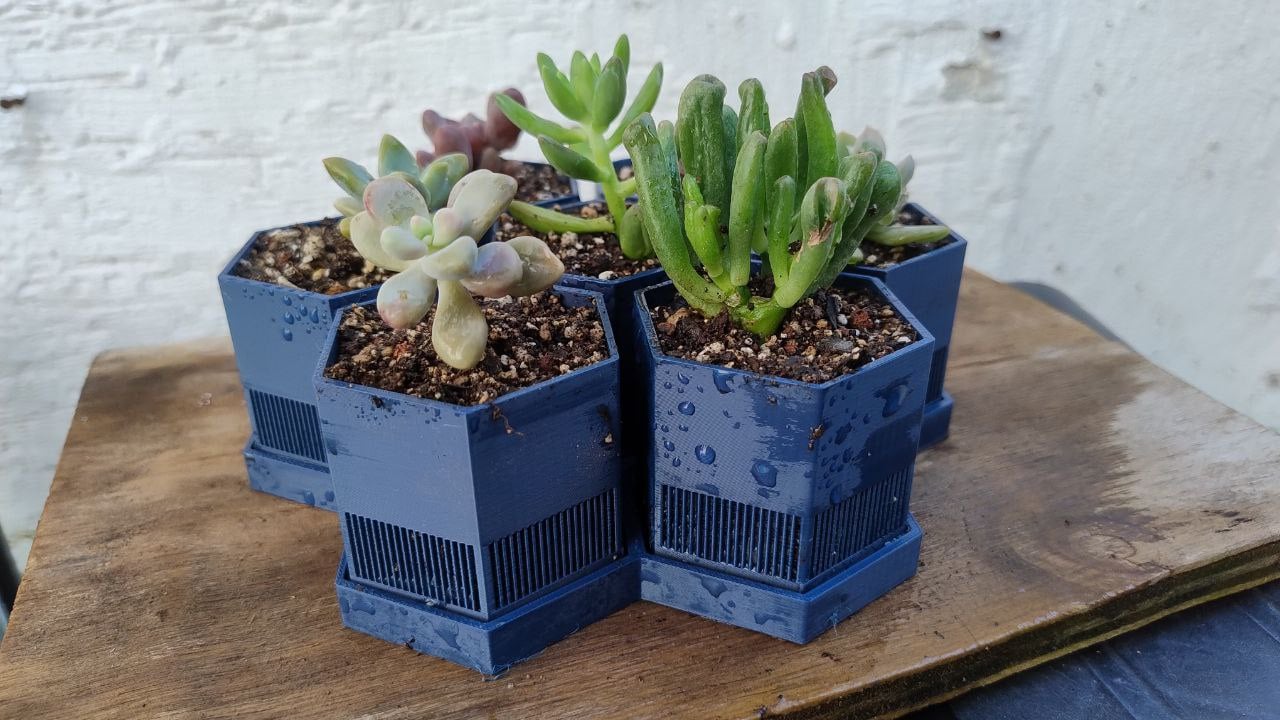 Hexagonal Succulent Planter with Drip Tray