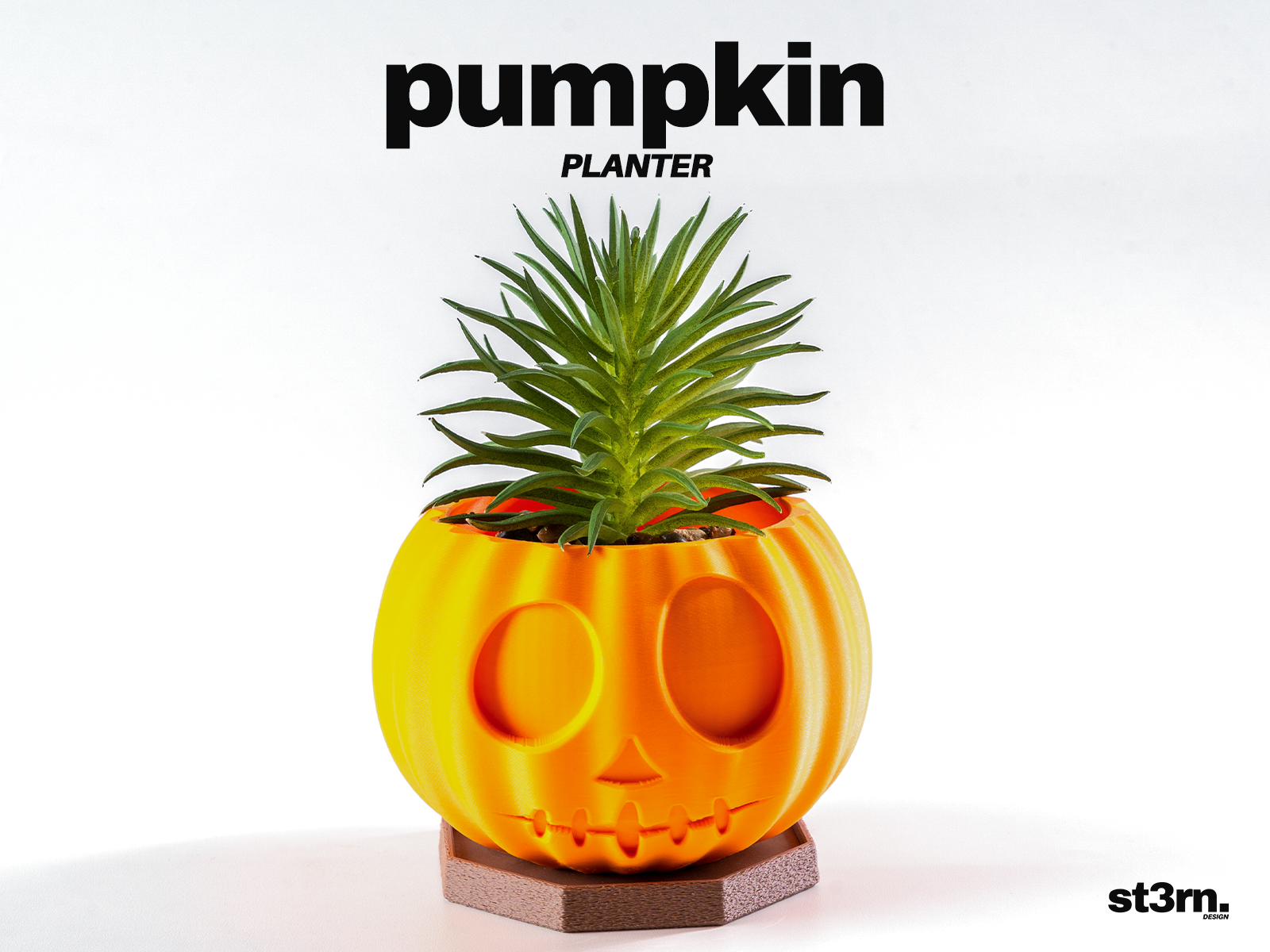 Pumpkin ⬝ Planter