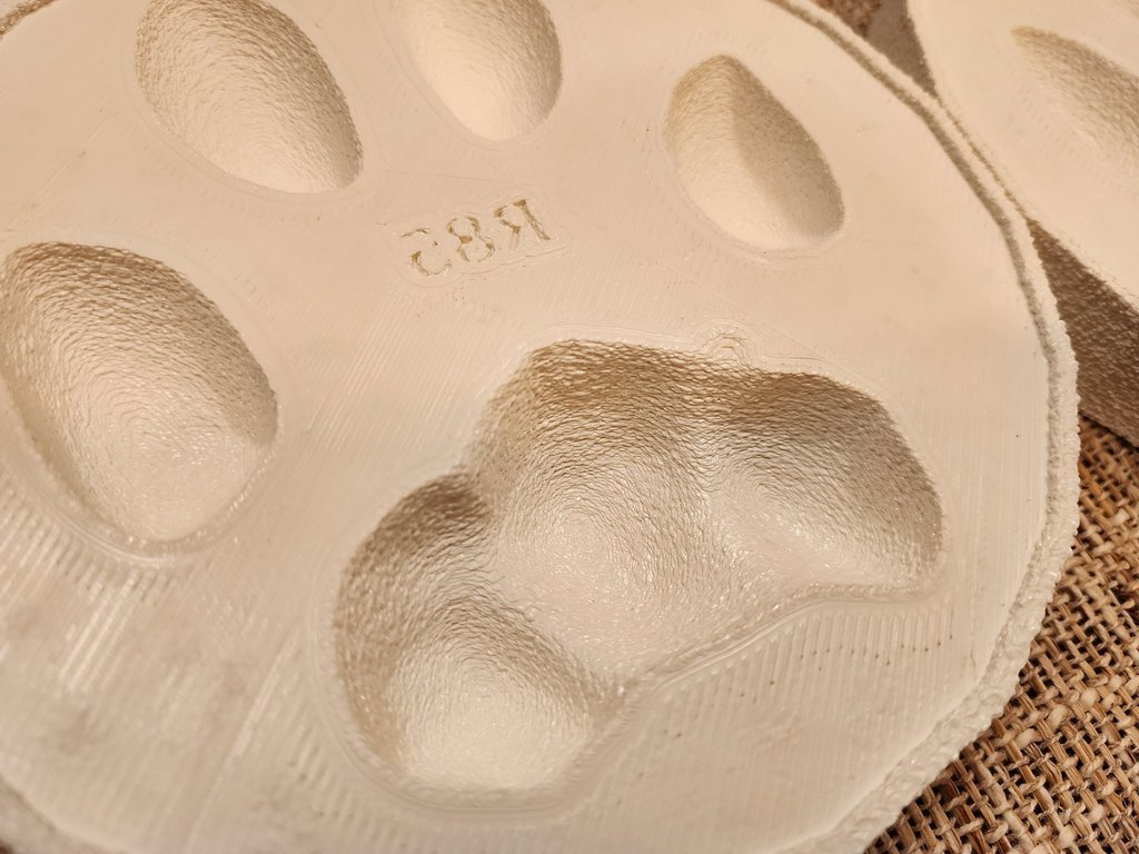 Canine Paw pad mold (commercial use not allowed)