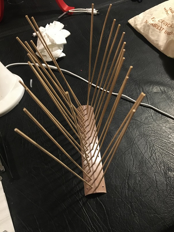 Bird Spikes