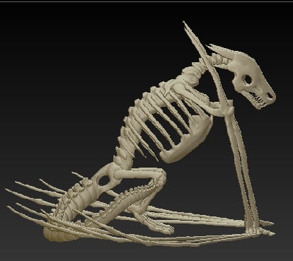 WYrm Skeleton