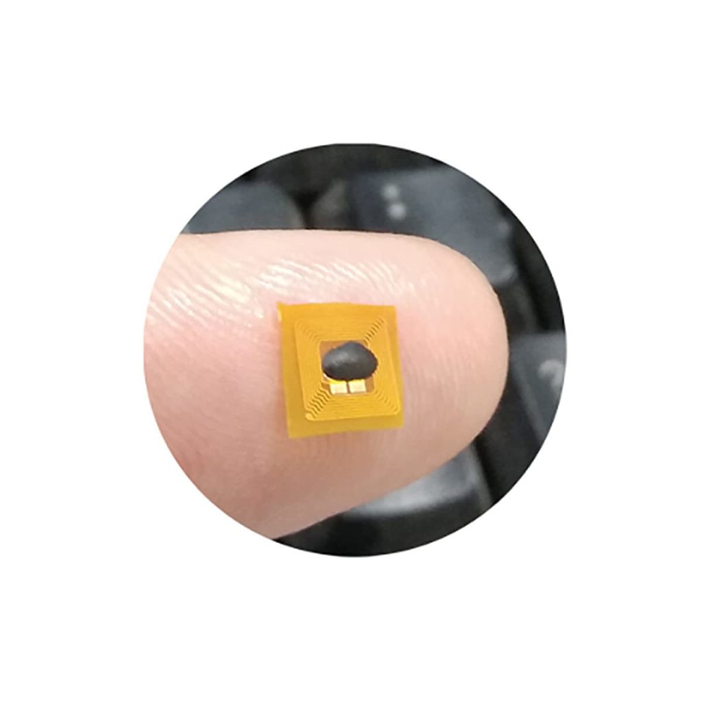 RFID/NFC watch band Chip holder