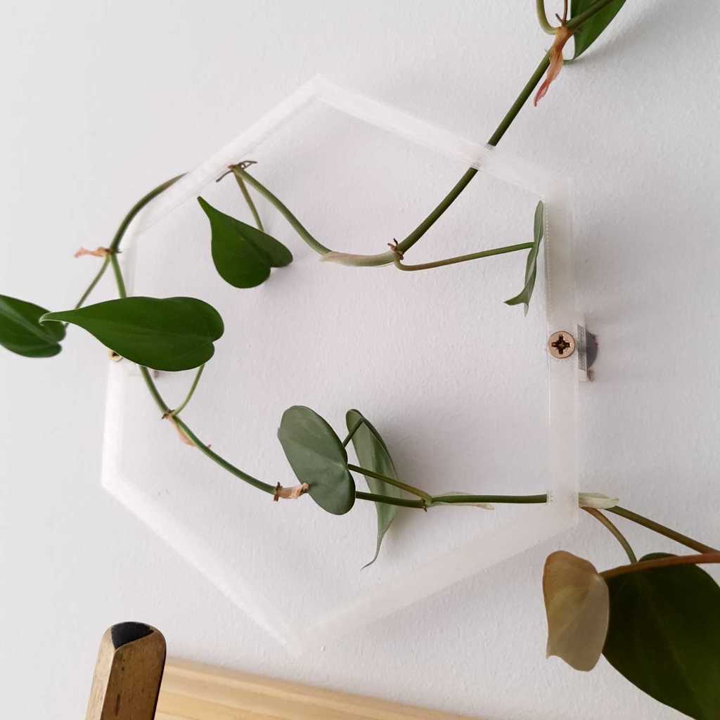 Wall-mounted Climbing Plant Support