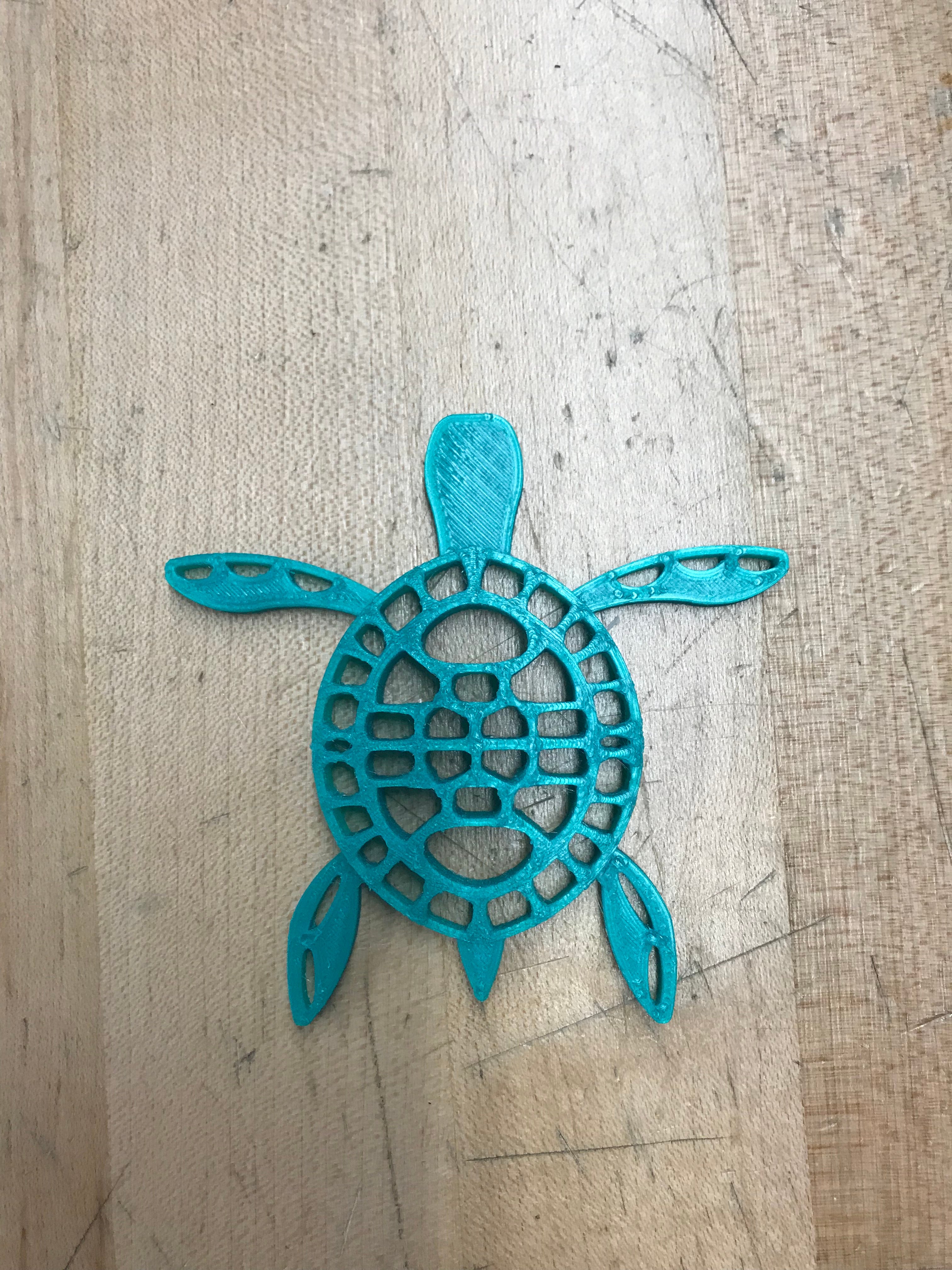 Turtle