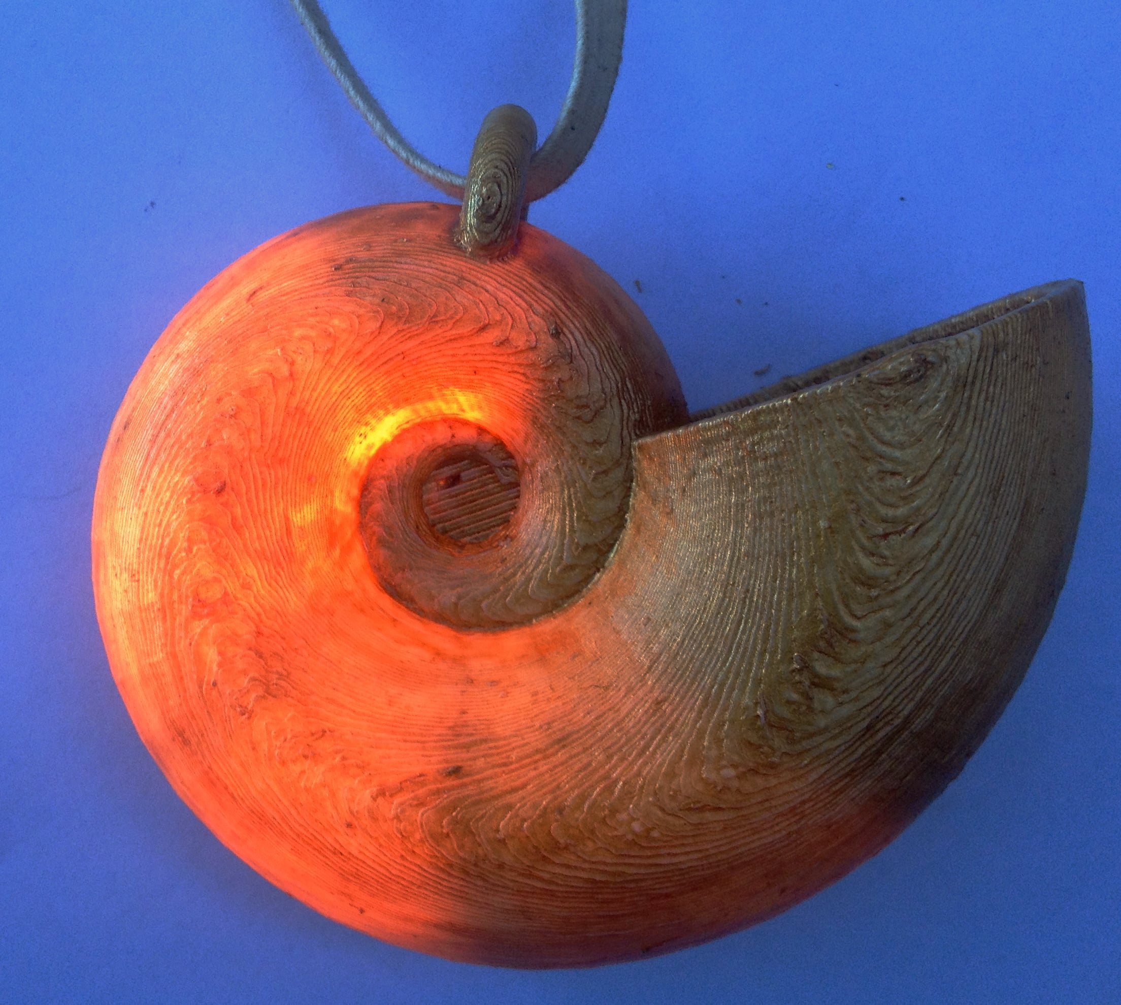Ursula Seashell