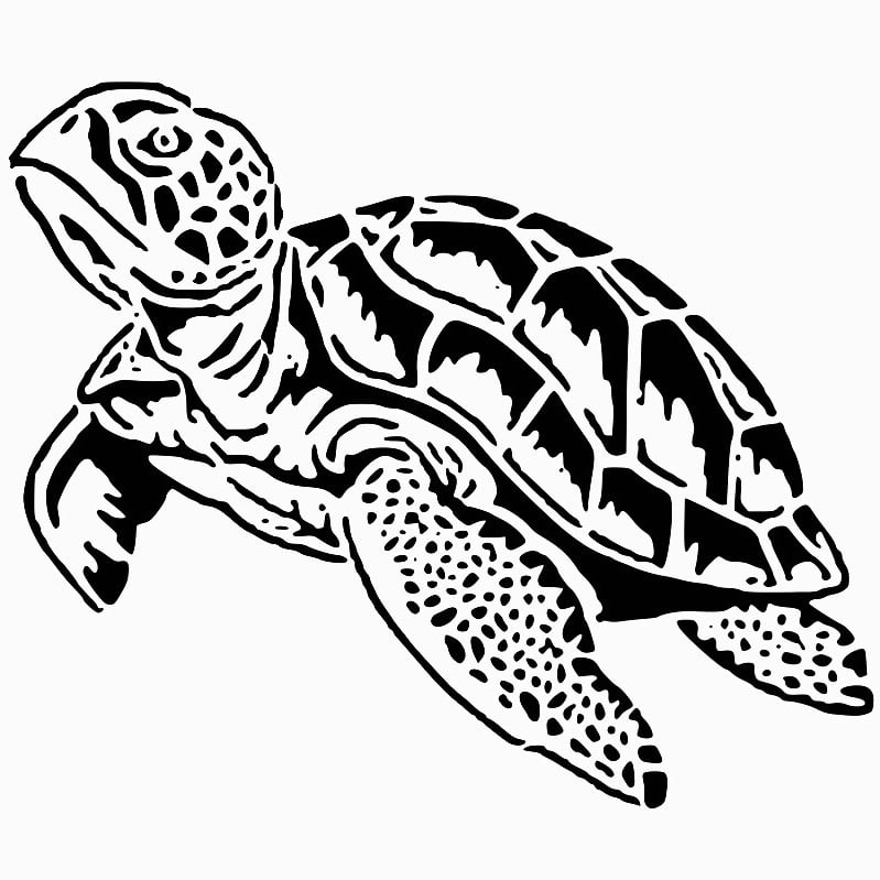 Sea Turtle stencil
