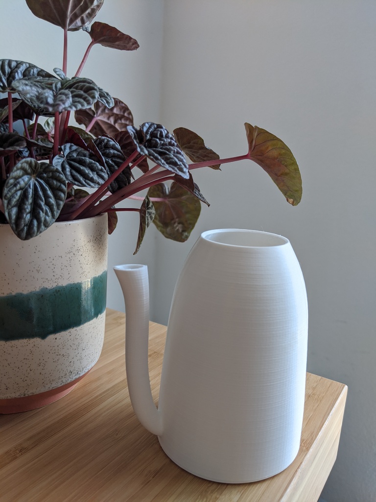 Small Watering Can for Indoor Plants