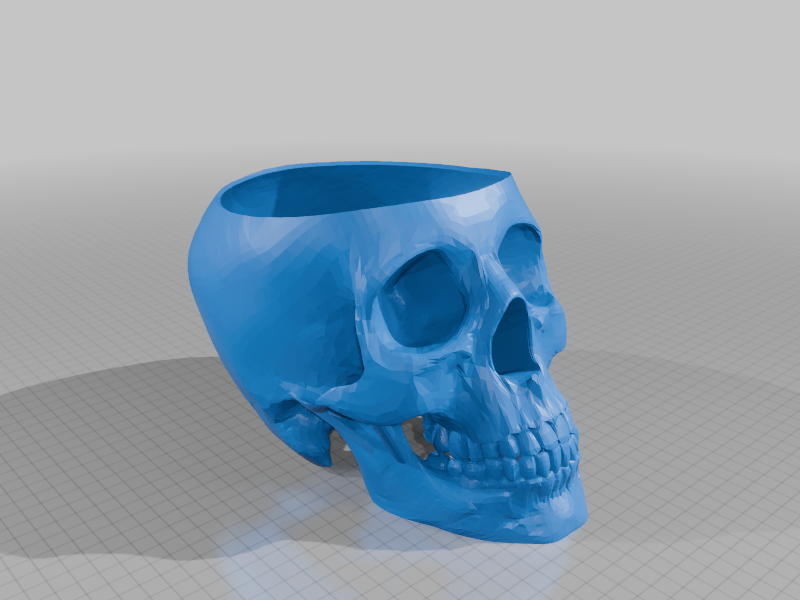 Human skull candy dish