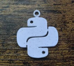 Python logo keychain/necklace