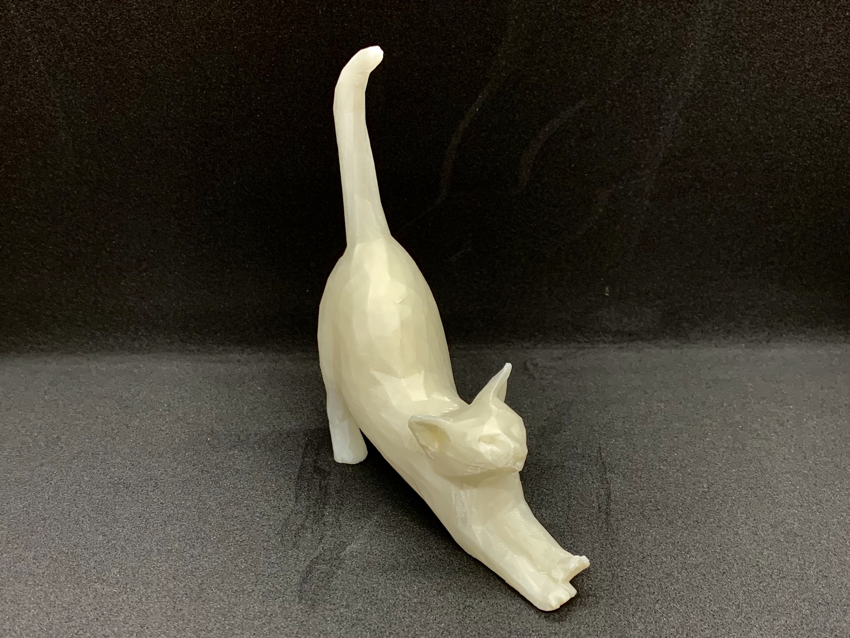 Low poly stretching cat