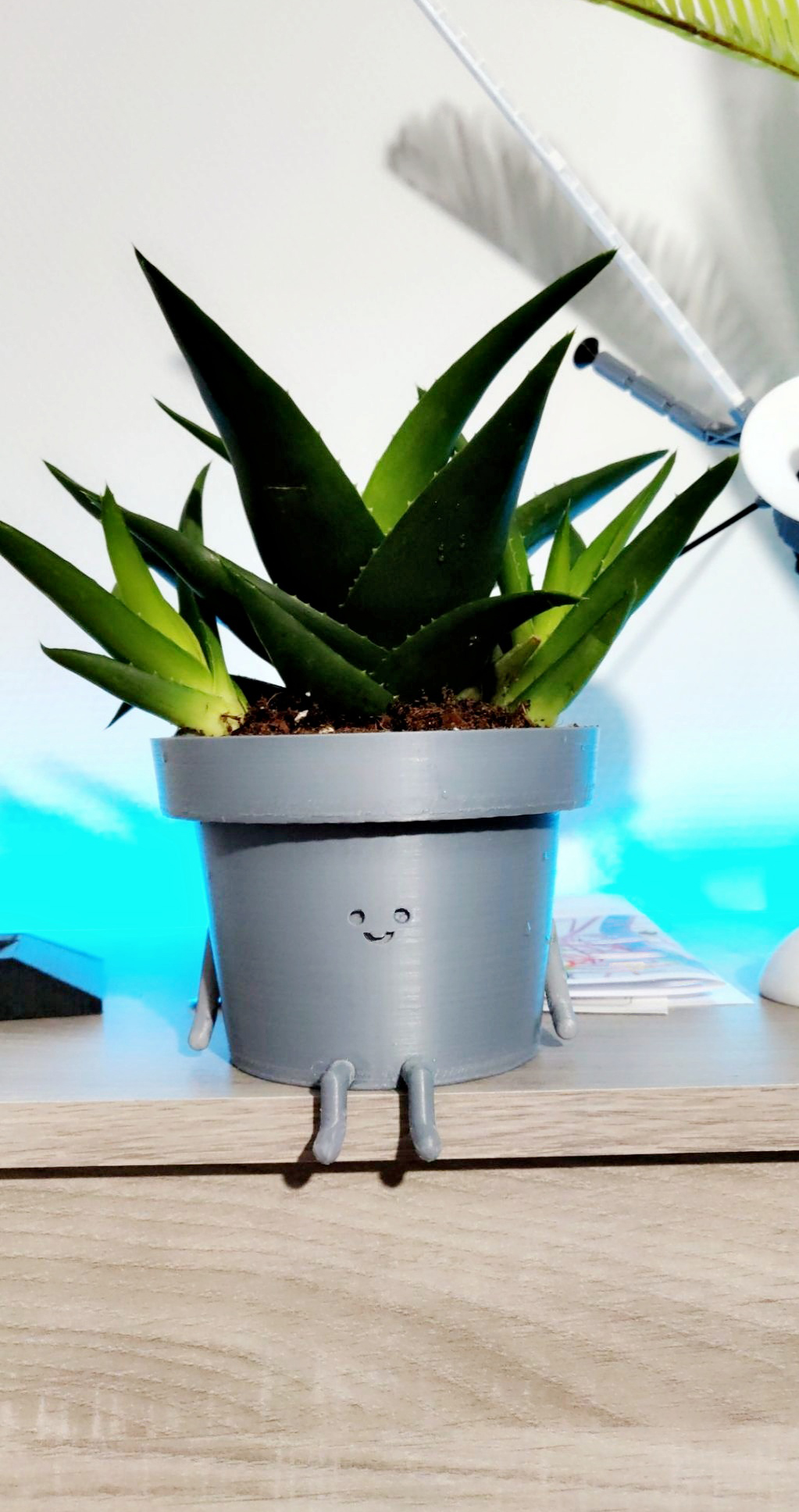 Happy Flower Pot