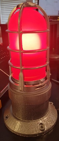 Goal Light
