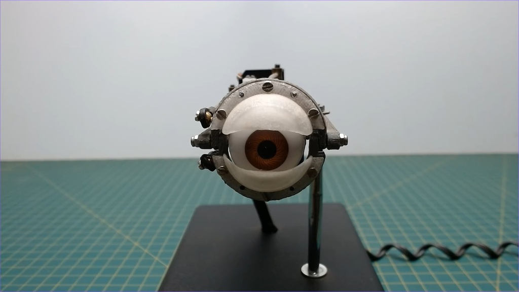 Human-sized animatronic eye!