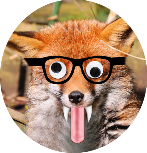 sweatyfox