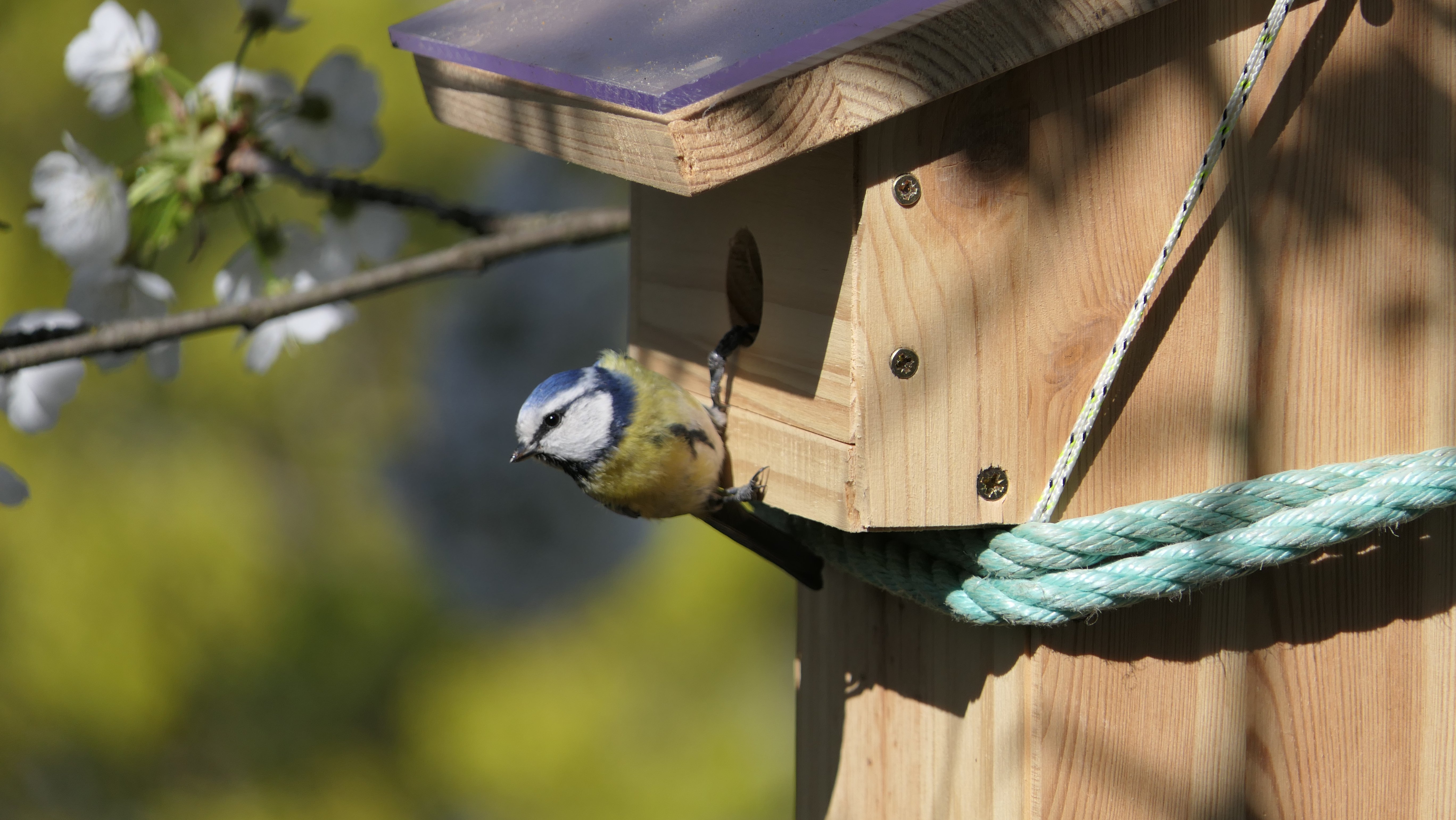 Nichoir pour oiseaux paramétrable/parametric bird house