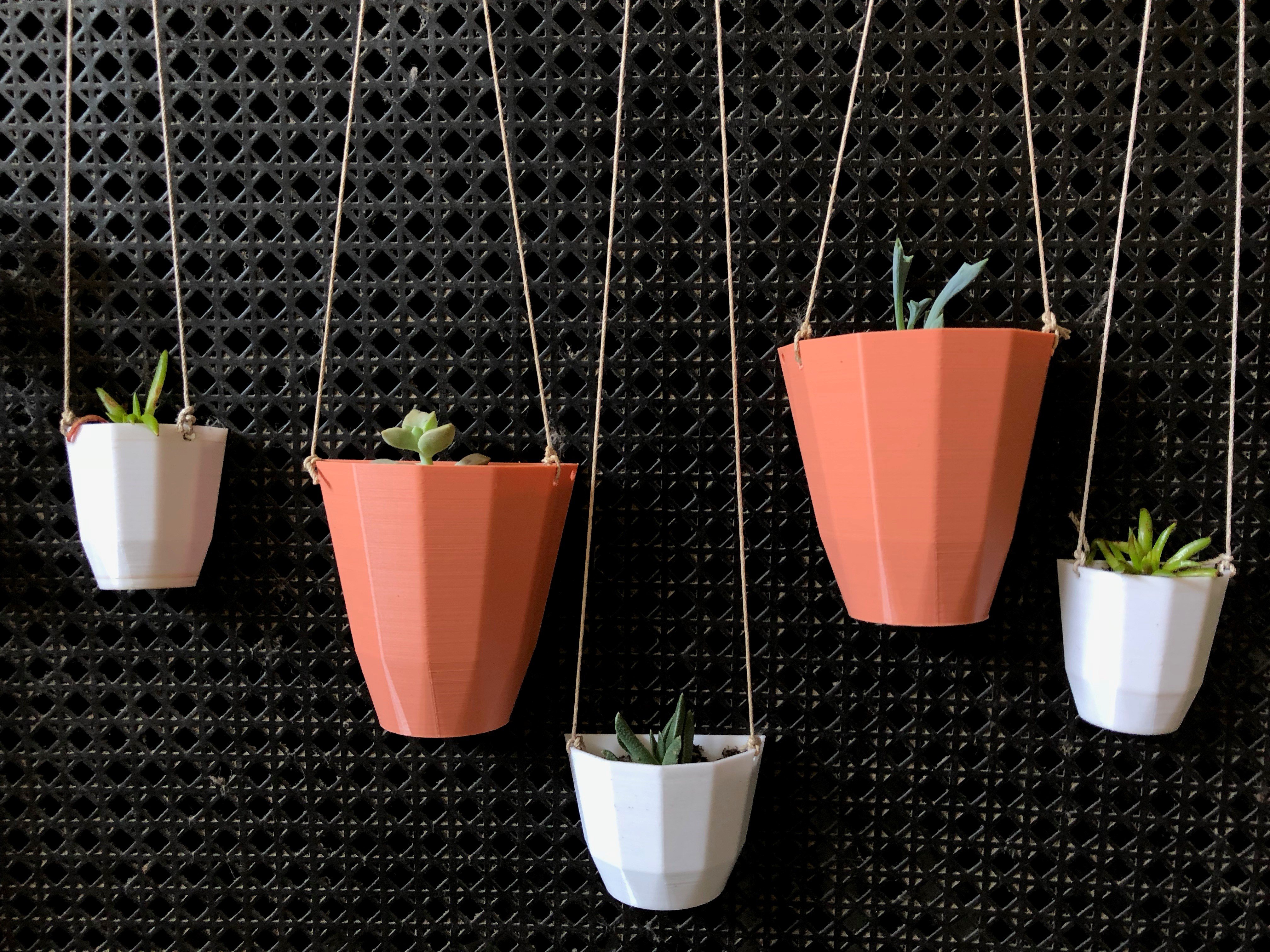 Customizable Hanging Wall Planter