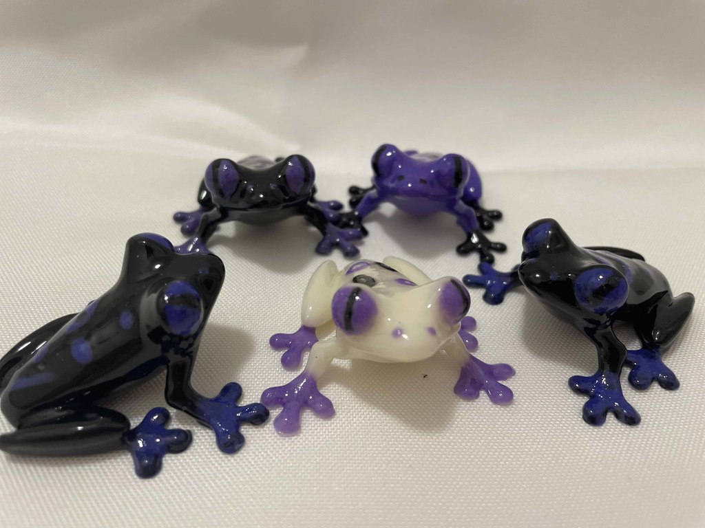 Purple, White and Black Treefrog