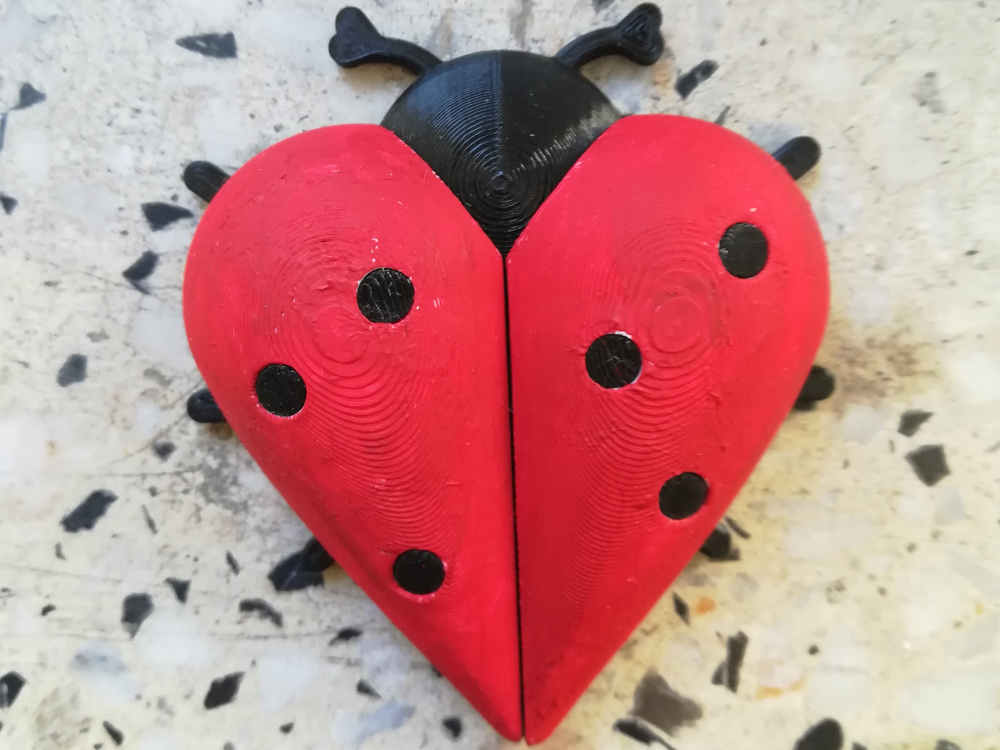 Heart-shaped Ladybug