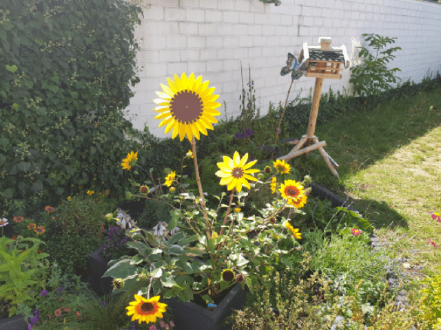 Miniatura 4 do modelo 3D Sunflower windmill