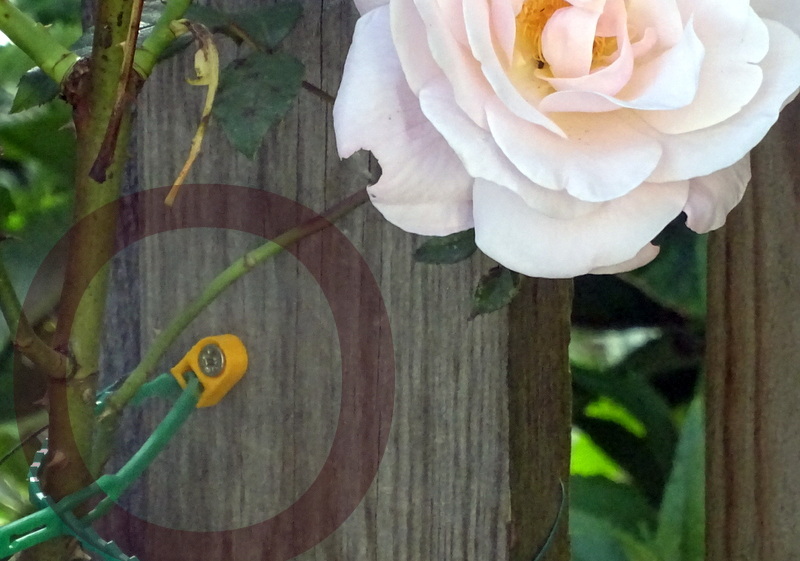Plant ties holder / Cable tie mounting base