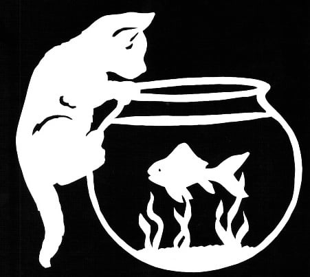 2D Cat and Fishbowl