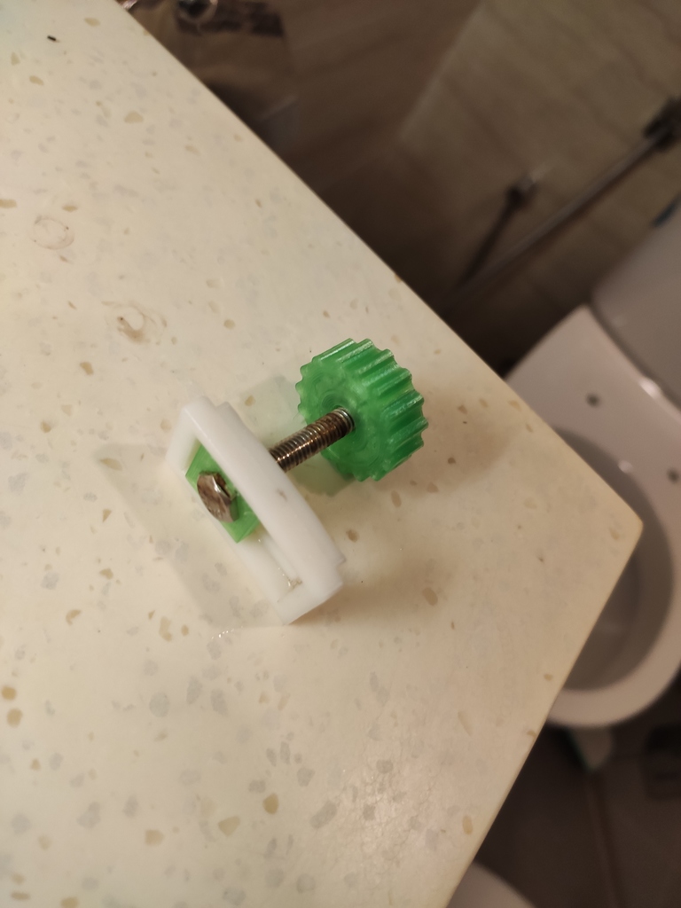 Toilet Seat Bolt Replacement