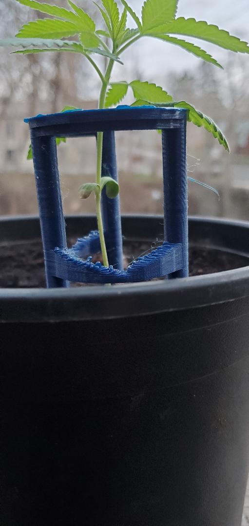 SEEDLING SAVER SIMPLE SUPPORT