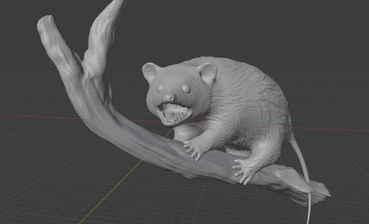 Opossum on Branch