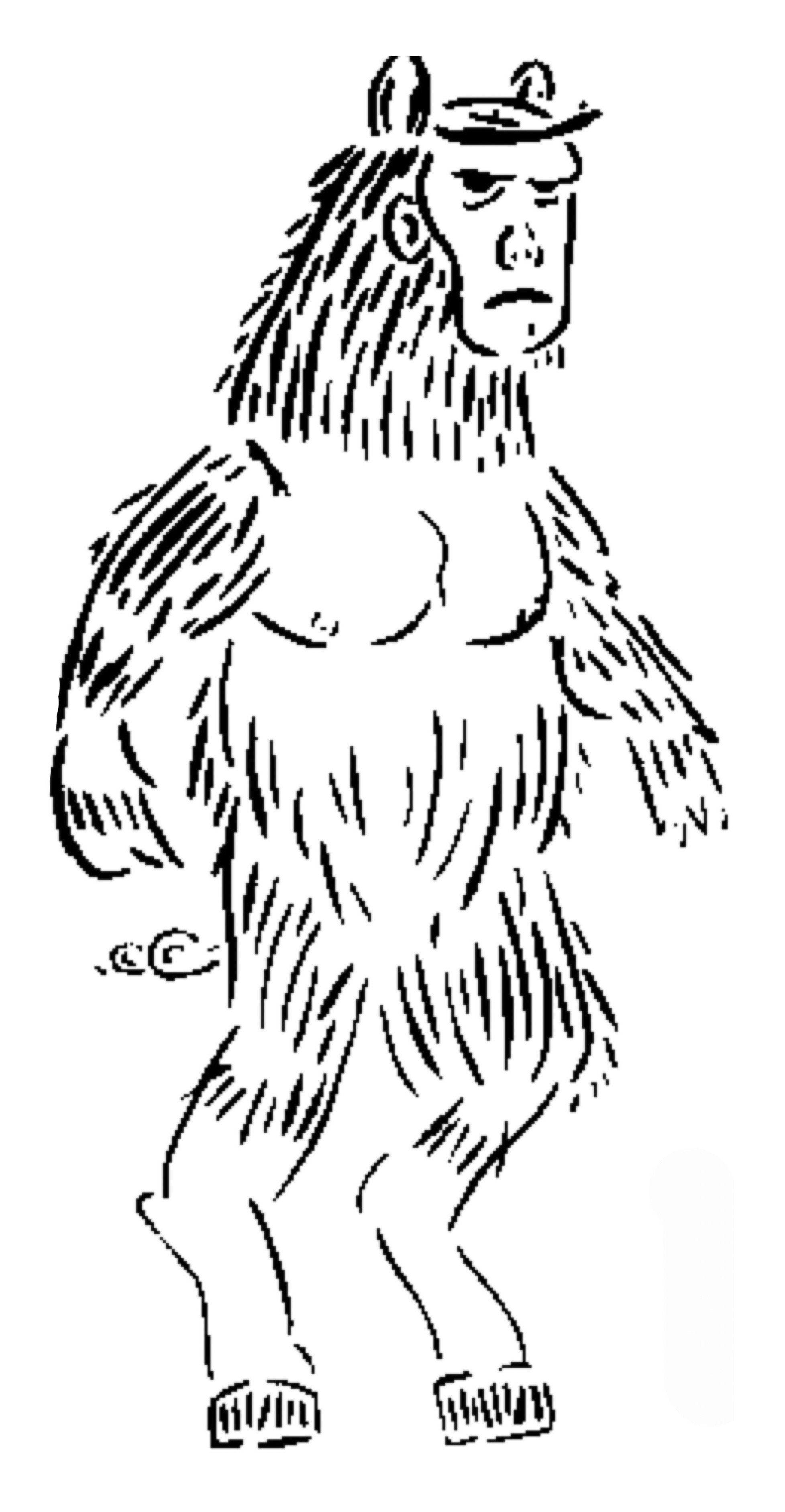Man Bear Pig