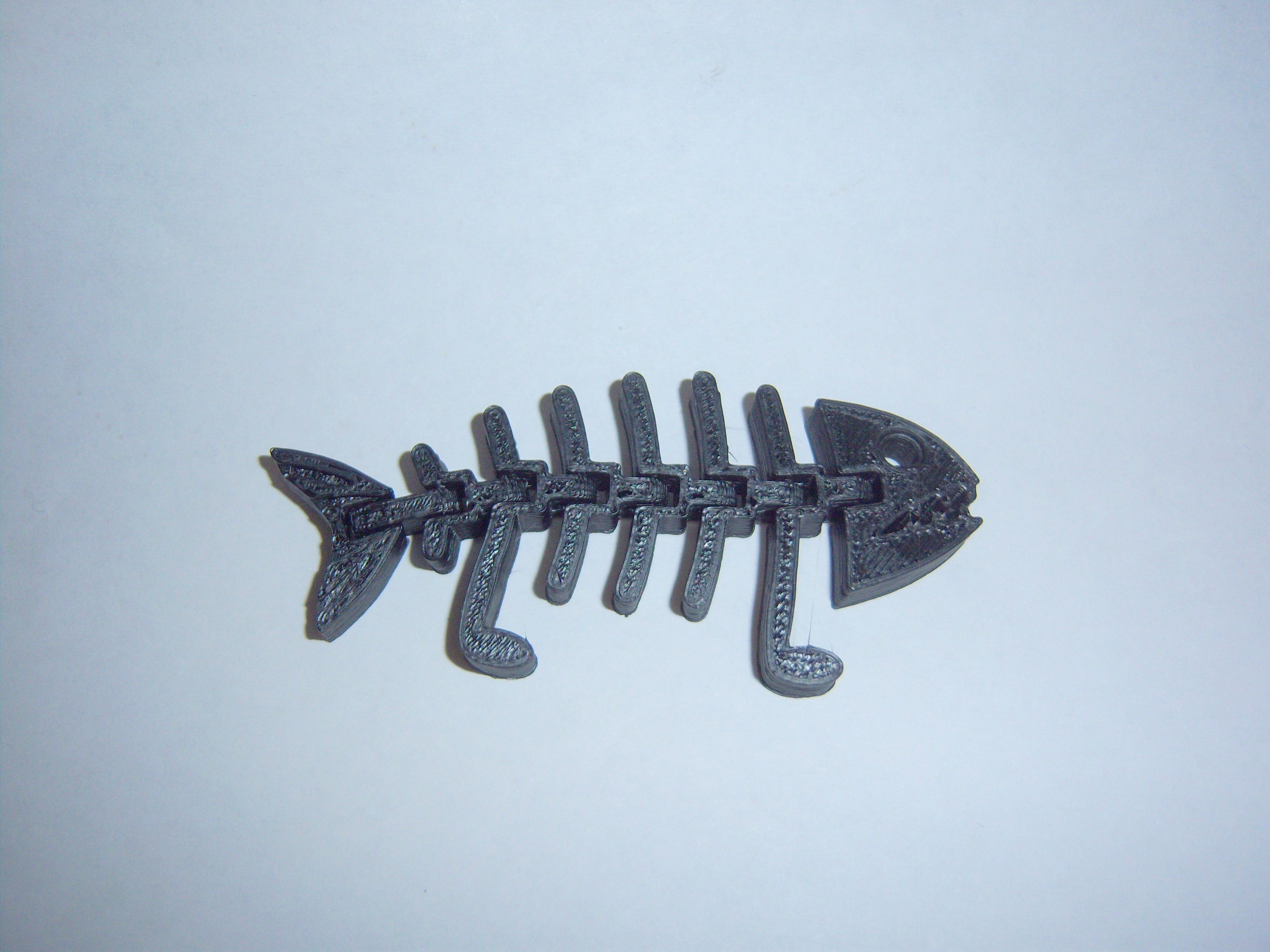 Fish Fossilz Darwin Edition