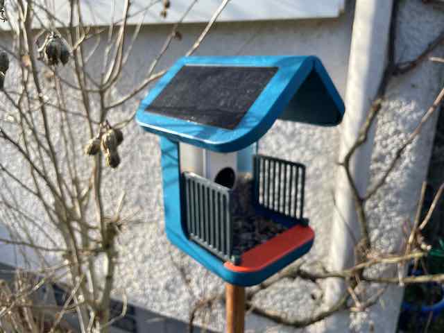 Bird buddy fence