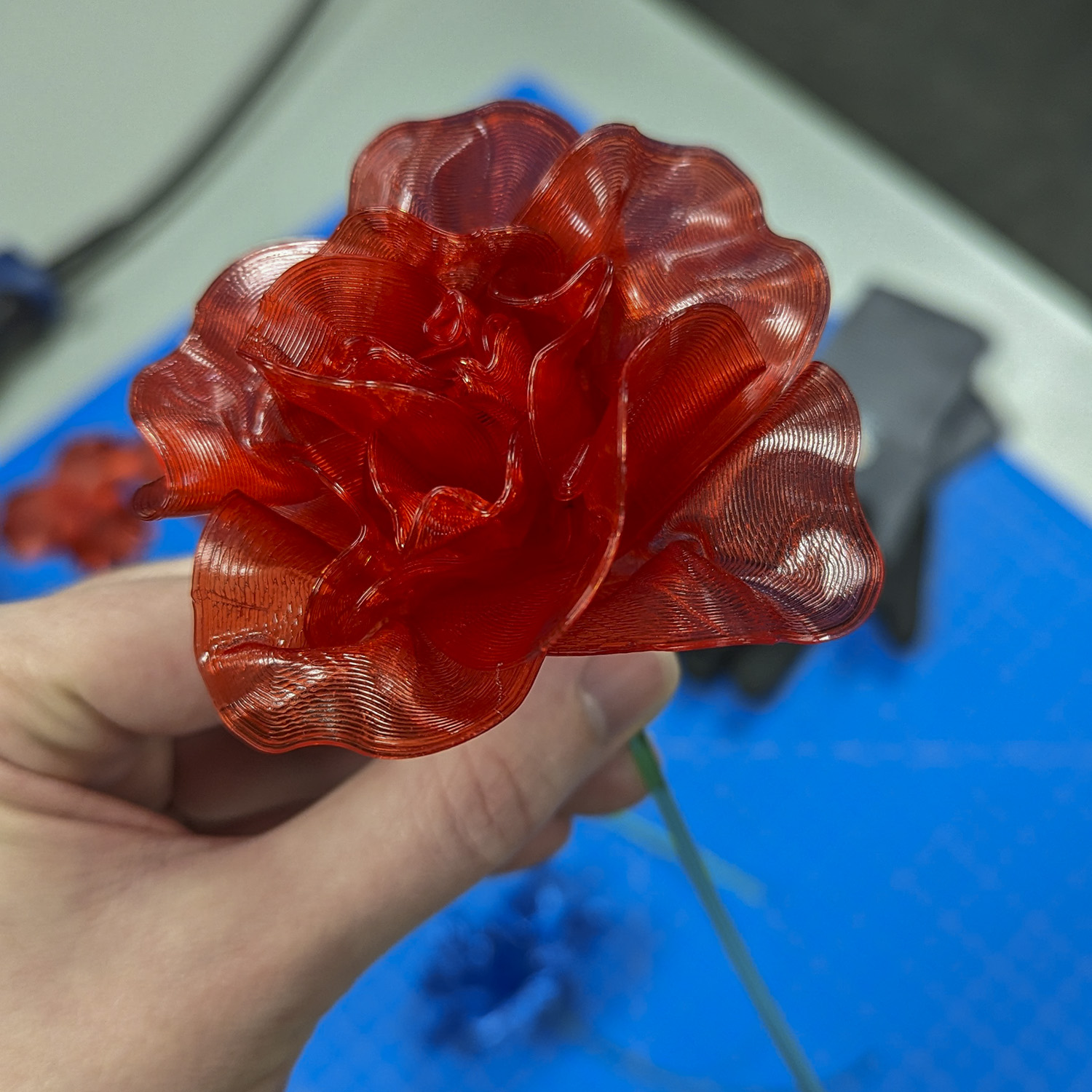 3D Printed Valentine's Rose