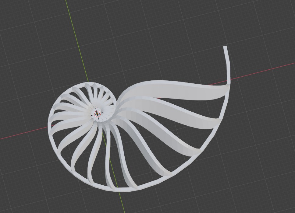Fibonacci nautilus shell rose conch