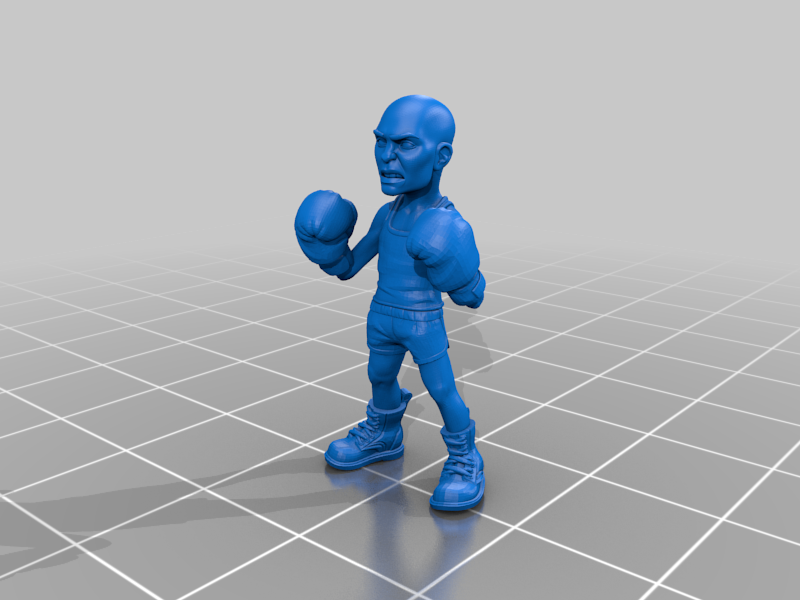 Boxer
