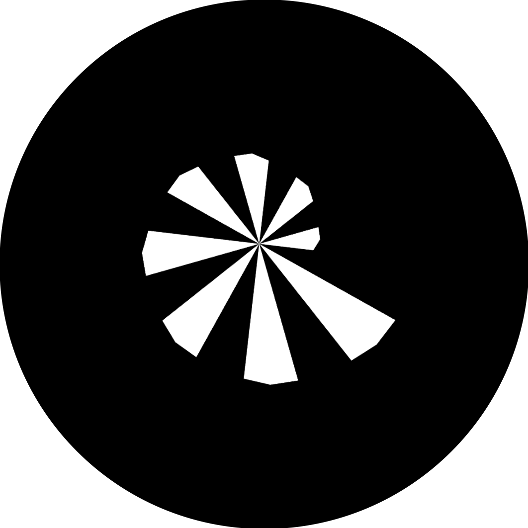 pier-ammonit