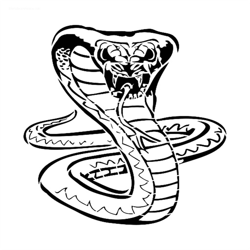 Cobra stencil