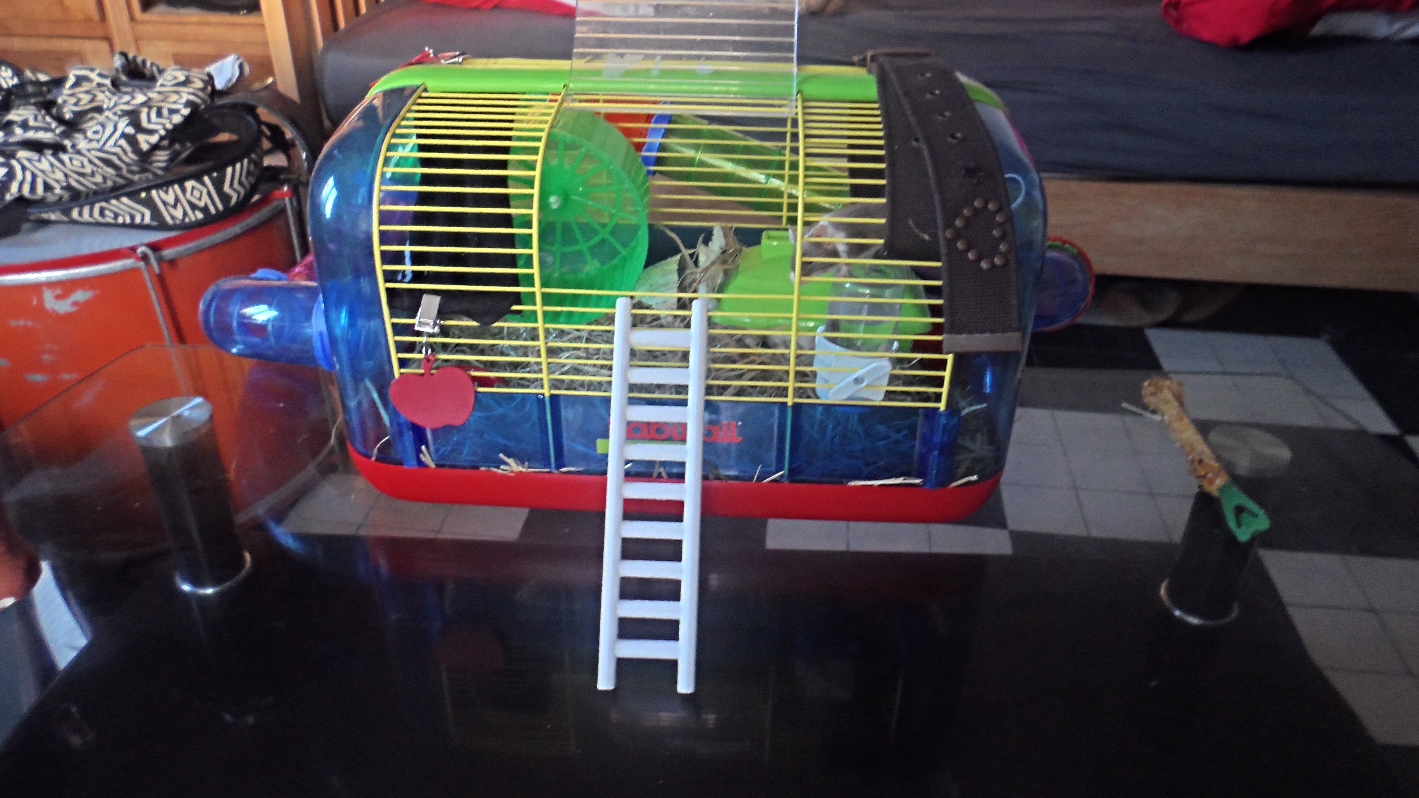 Pet ladder