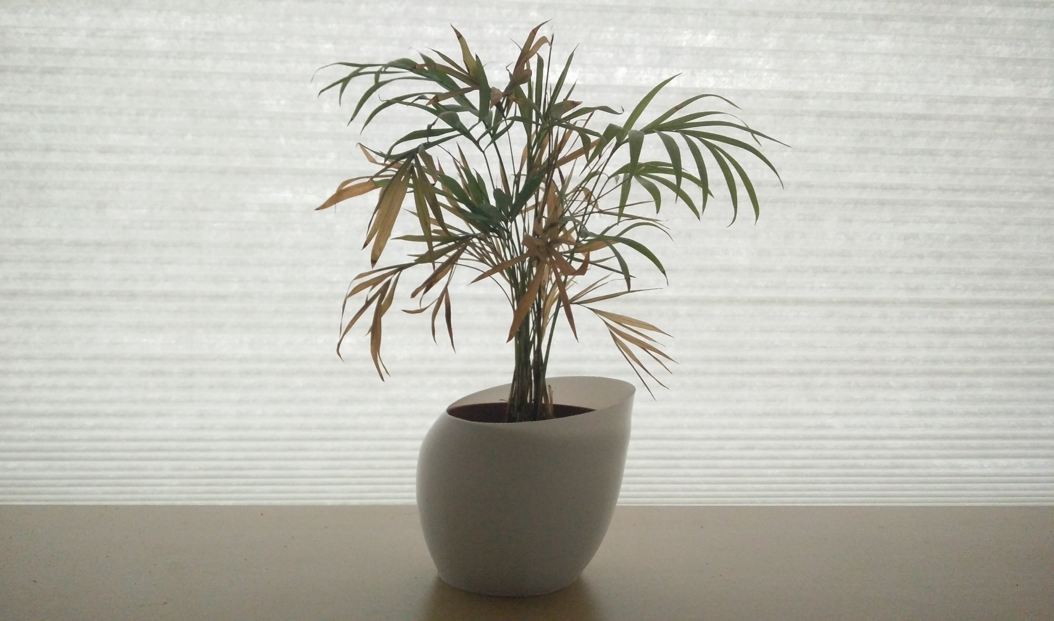 Designer Vase 9cm - 3 ½''