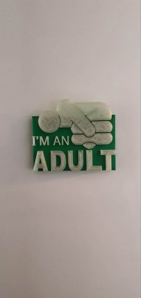 Jazza "Im an adult" magnet