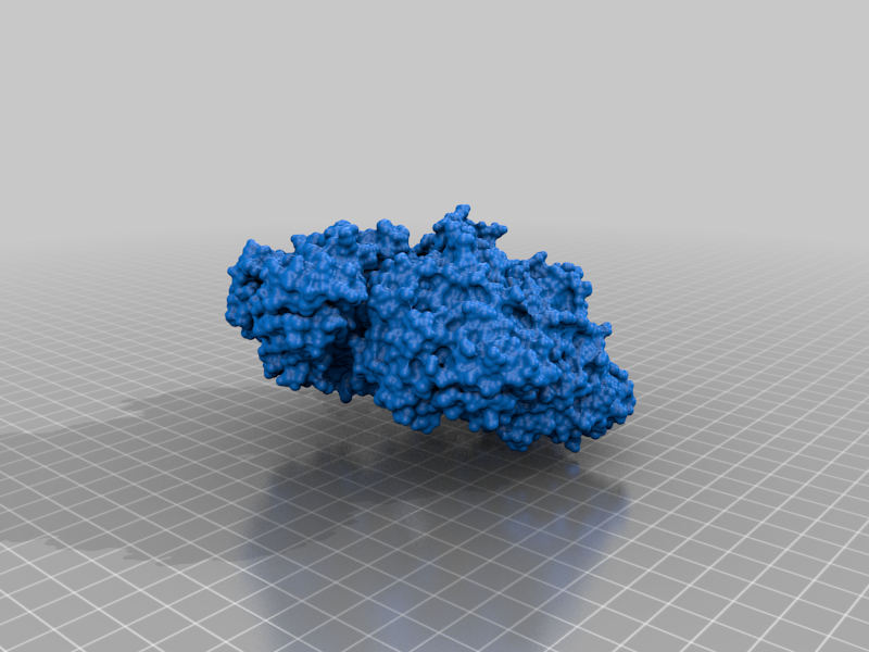 T7 DNA replisome