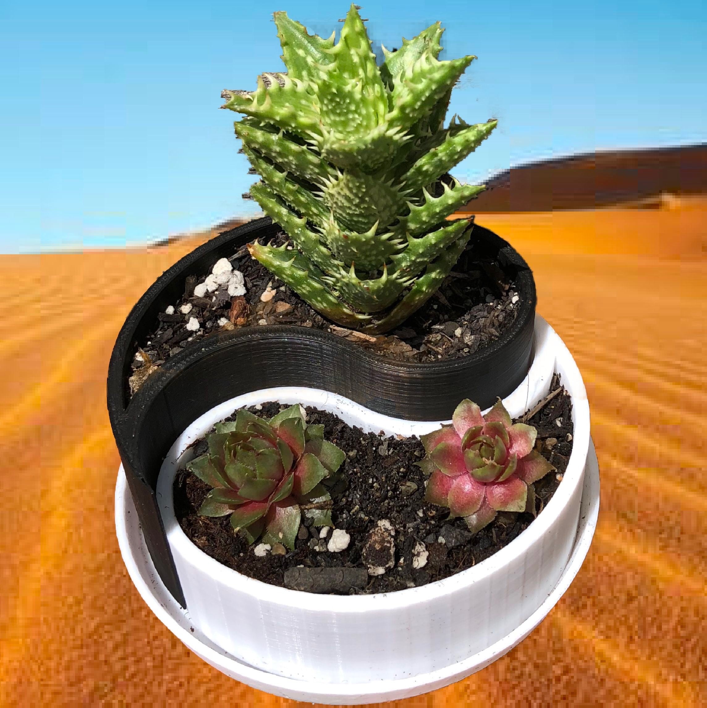 Customizable Yin-Yang Planter / Container