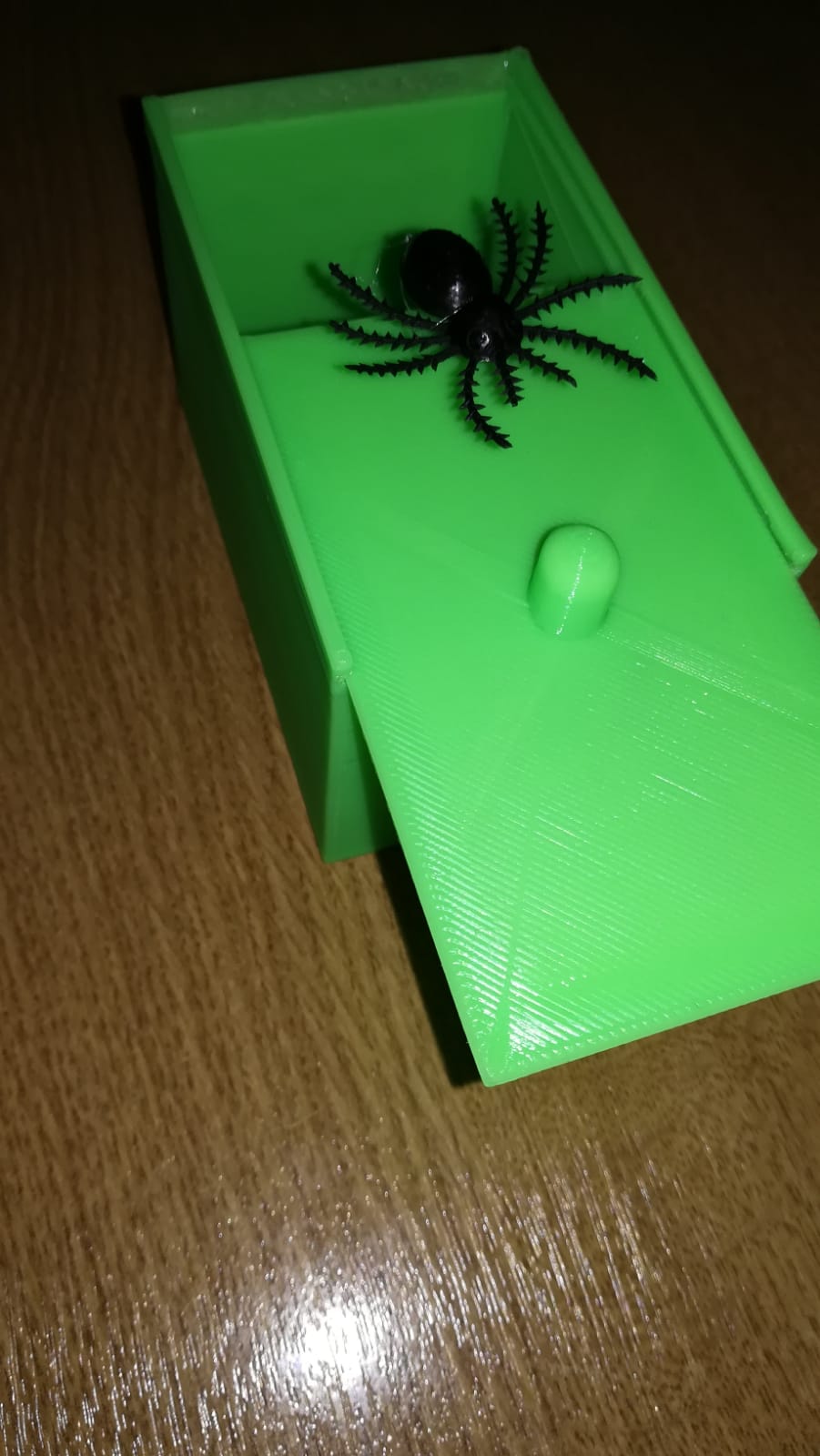 Prank Spider Scare Box