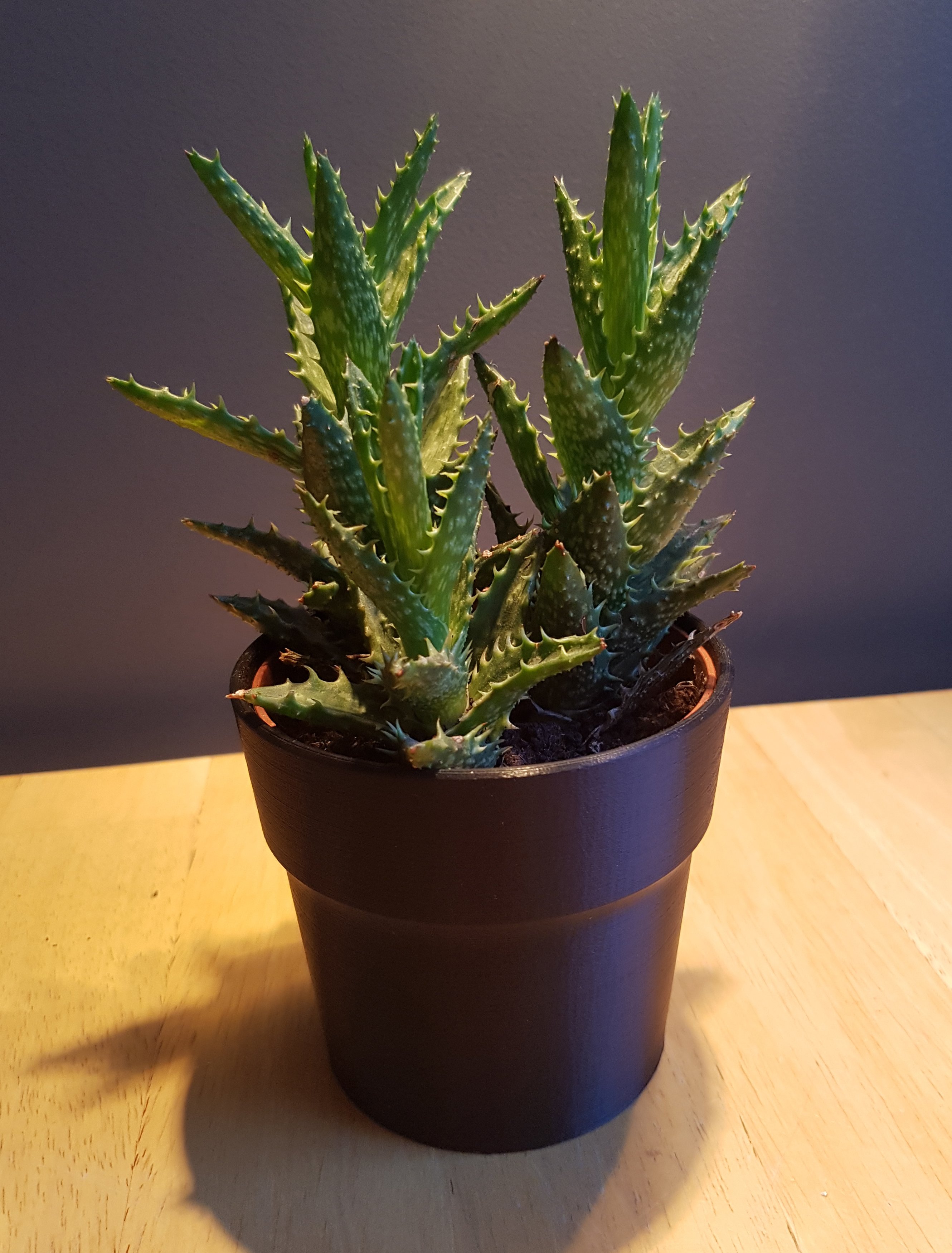 Simple Flower Pot (3 inch / 7.5 cm Tiny Flowerpot)
