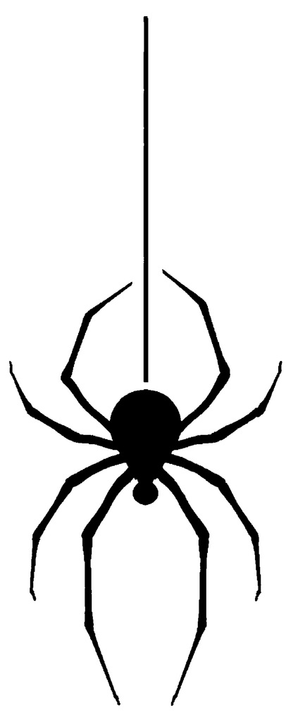 Spider stencil 6